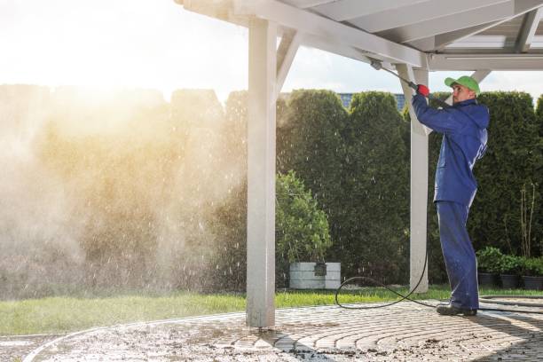 Animal Enclosure Cleaning in Fleming Island, FL