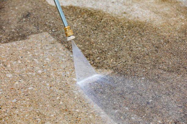 Best Boat and Dock Cleaning  in Eming Island, FL