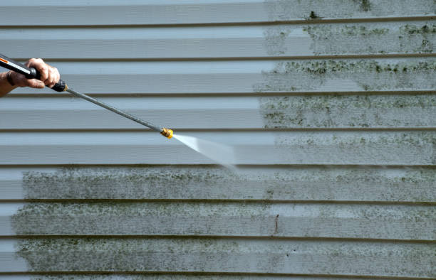 Best Animal Enclosure Cleaning  in Eming Island, FL